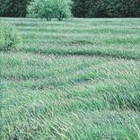 Collection New This Week 12-01-2025