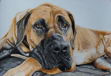 Original Realism Animal Drawings by Natalia Lesteva