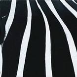 Zebra by Taras Kononenko