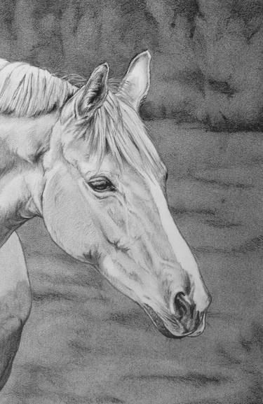 Original Figurative Horse Drawings by Idoia Asensio