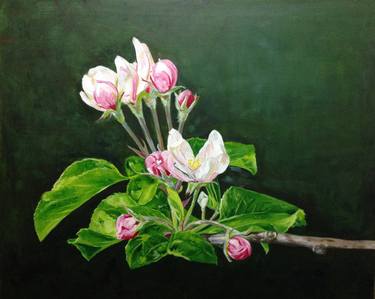 Original Figurative Botanic Paintings by Idoia Asensio