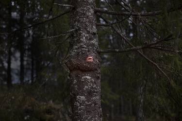 Original Tree Photography by Maria Konstanse Bruun