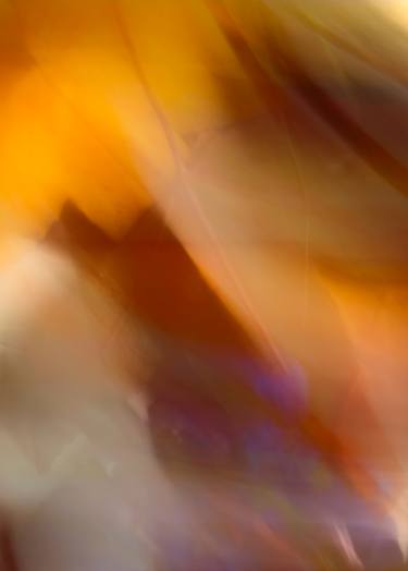 Original Abstract Photography by Silvia Casilli