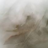 Misty Dream (SC2013PHMD01) - Limited Edition of 9 by Silvia Casilli
