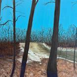 Snow Melt on River by David Bowker