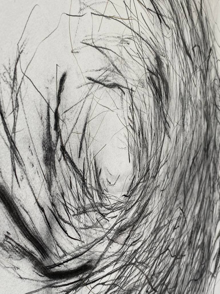 Original Figurative Nature Drawing by Gillian Cooper