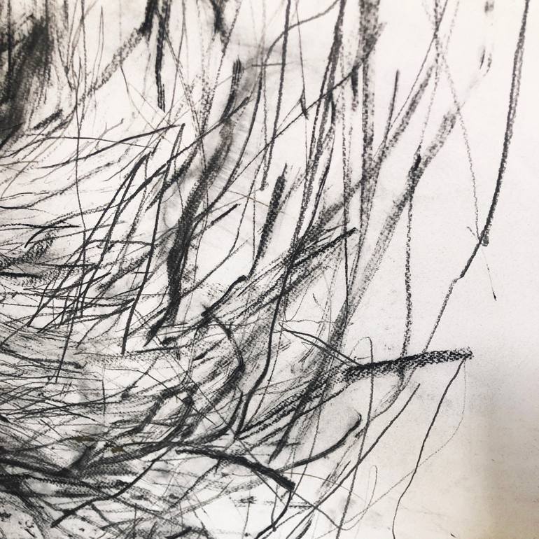 Original Figurative Nature Drawing by Gillian Cooper