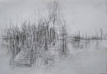 Original Expressionism Nature Drawings by Gillian Cooper