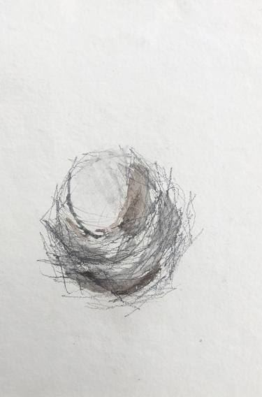 Original Nature Drawings by Gillian Cooper