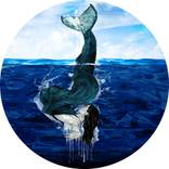 Collection Underwater Universe