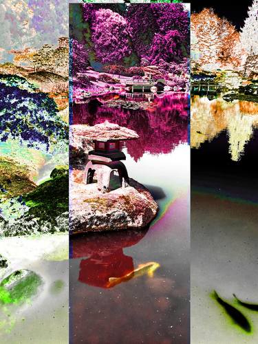 Print of Abstract Expressionism Garden Photography by Stephen Peace