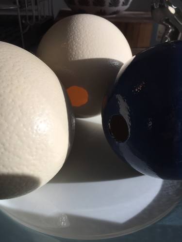 Ostrich Eggs VI - Limited Edition 1 of 2 thumb