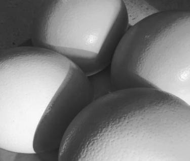 FOUR OSTRICH EGGS, BLACK & WHITE - Limited Edition 1 of 10 thumb