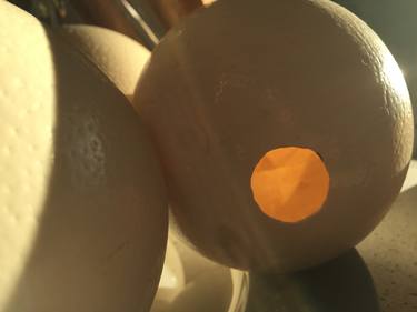 Ostrich Eggs .40 - Limited Edition 1 of 25 thumb