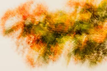 Original Abstract Photography by Lucy Brown