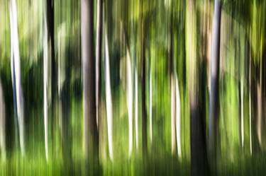 Print of Abstract Expressionism Tree Photography by Lucy Brown