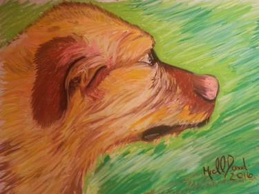 Print of Fine Art Dogs Drawings by Michael David