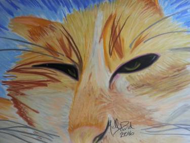 Print of Fine Art Cats Drawings by Michael David