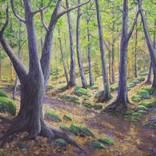 Vermont Woodland Spring by Frank Wilson