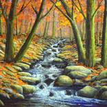 Deep Woods Brook by Frank Wilson