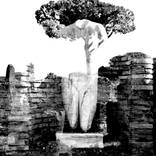 Per varios usus artem experientia fecit - Limited Edition of 150 by Monica Lelli
