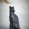 The black cat with white stripe in the middle of face.

Sculpture made by fireclay. It can be placed on garden for whole year or inside.