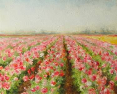 Flower Fields at Carlsbad California thumb