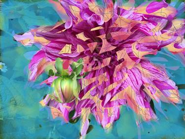 Original Abstract Floral Mixed Media by Richard Stone