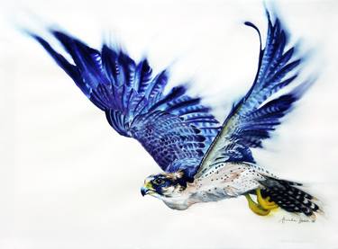 Peregrine Falcon I thumb