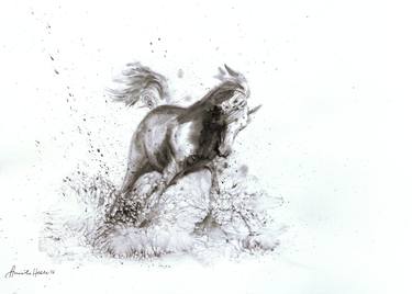 Print of Fine Art Horse Paintings by Anisha Heble