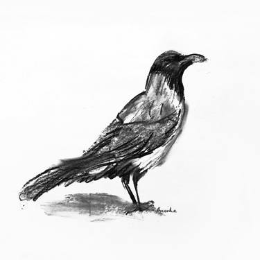 Print of Animal Drawings by Anisha Heble