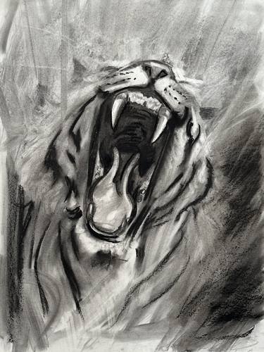 Drawing No. 38 Tiger thumb