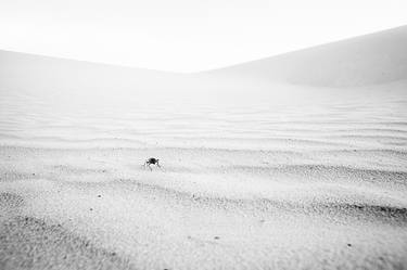 White Sands long walk - Limited Edition 1 of 150 thumb