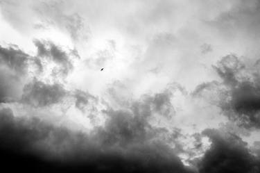 Bird flying in storm front - Limited Edition 1 of 150 thumb