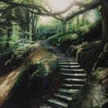 Forest Path by Jan Klima