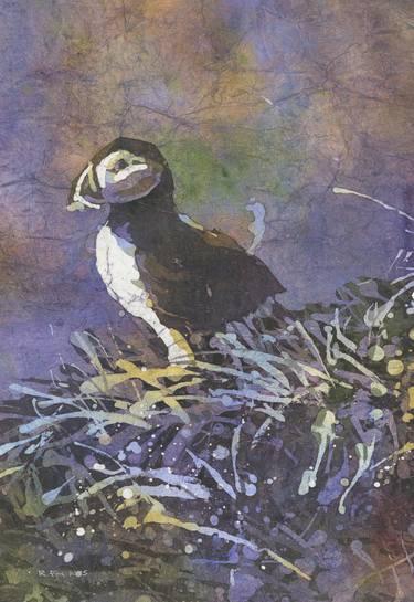 Puffin fine art watercolor painting Puffin Iceland thumb