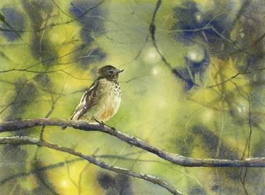 Colorful watercolor painting songbird on branch housewarming thumb