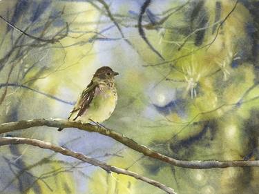 Colorful watercolor painting songbird on branch landscape thumb
