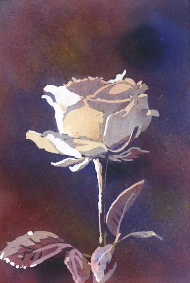 Colorful watercolor painting white rose floral decor art house thumb