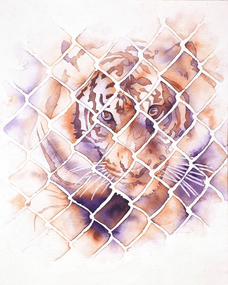 Watercolor painting of tiger behind fence at animal rescue- San Diego, CA
