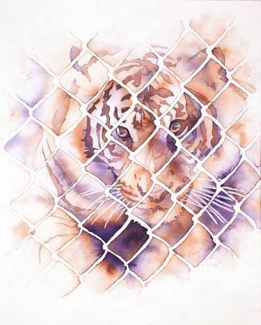 Watercolor painting of tiger behind fence at animal rescue- San Diego, CA thumb