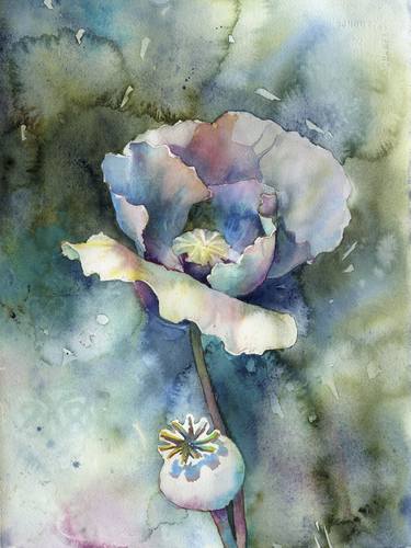Poppy painting.  Colorful watercolor painting of poppy thumb