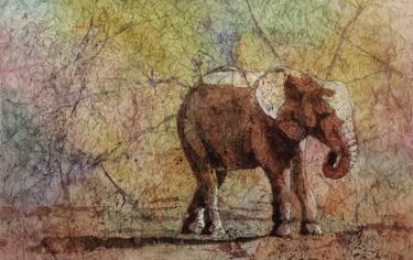 Print of Documentary Animal Paintings by Ryan Fox AWS