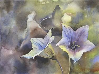 Balloon flowers in bloom.  Fine art floral watercolor painting colorful artwork flower painting thumb