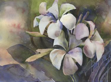 Plumeria fine art watercolor painting.  Watercolor painting plumeria flowers colorful artwork floral thumb