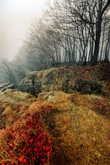 Print of Landscape Photography by Thomas Rosenthal