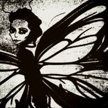 Collection Nocturnes of Silence