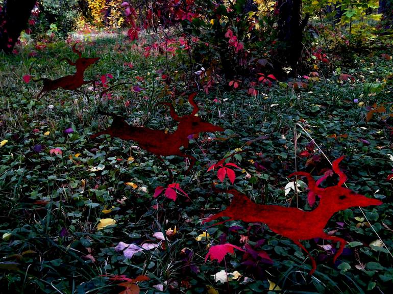 Original Photorealism Garden Photography by Alina Suleyman