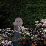 Collection Jardin
