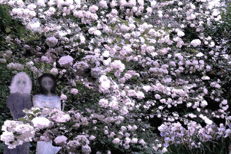 Original Art Deco Botanic Photography by Alina Suleyman